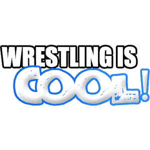 Wrestling is Cool 08.25.13 “Endless Winter” Результаты iPPV
