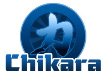 Что произошло на встрече в поддержку Chikara возле музея искусств Филадельфии 14/09/2013