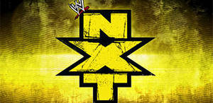 NXT хаус-шоу 20/09/2013 Орландо Результаты