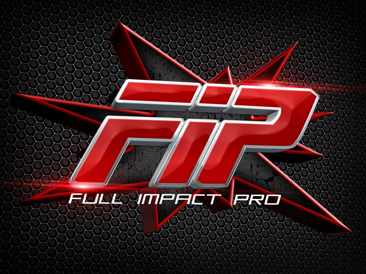 FIP Dangerous Intentions iPPV 11.10.13 Результаты