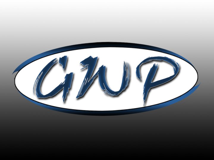 GWP Night Of Decisions 2013 12.10.13 Результаты