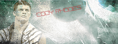 Фотография 1