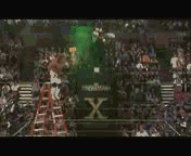 Фотография 1