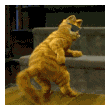 KOT3